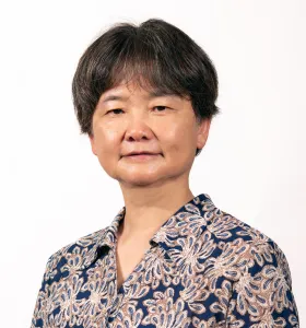 Professor Jingbo Wang