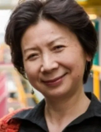 Professor Yuying Li